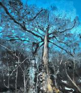 Dusk III Ash Dieback V Stump #264