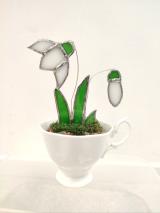 Teacup Snowdrops 