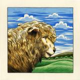 Cornish Longwool