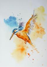 A Flash of Blue and Gold 