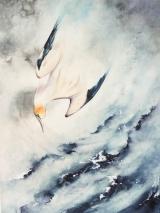 Dive ! Gannet