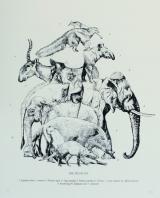 The Trunk Set 