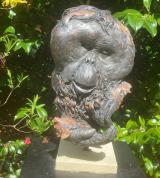 Orangutan